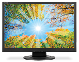 Monitor Front